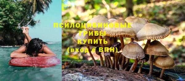 стаф Зеленодольск