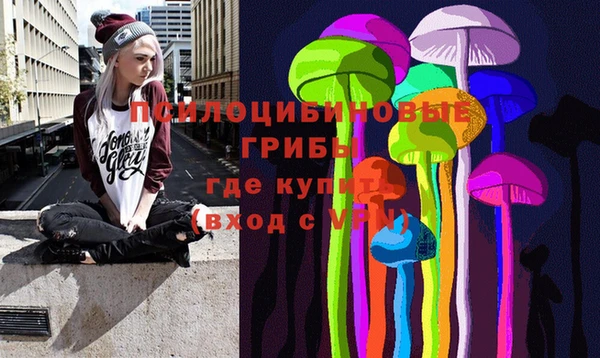 стаф Зеленодольск