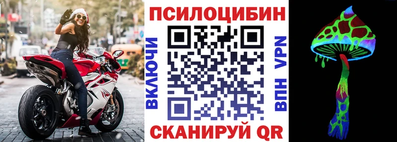 Галлюциногенные грибы Psilocybe Верея