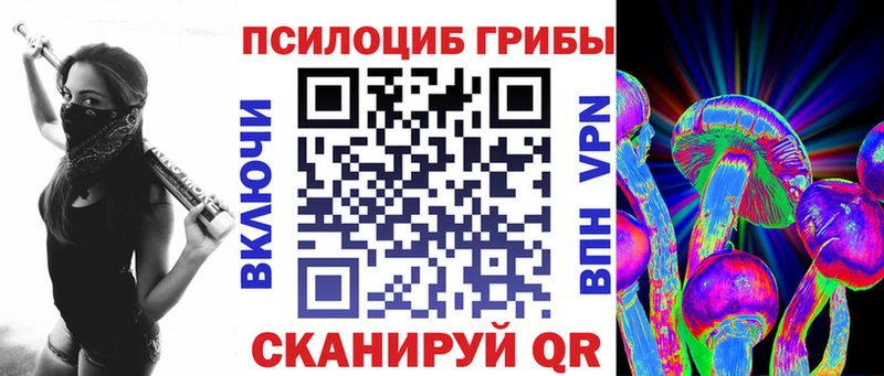 Купить закладки  Верея  Псилоцибиновые грибы мицелий 