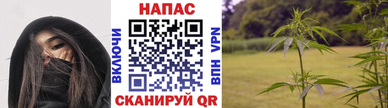 Бошки Шишки Ganja Верея